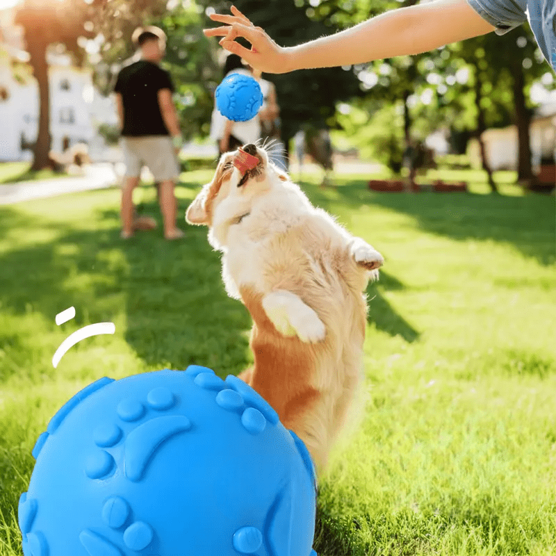 Balle pour Chien - DogChewToys™ - Bleu - Le royaume du chien