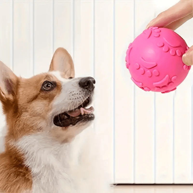Balle pour Chien - DogChewToys™ - Rose - Le royaume du chien