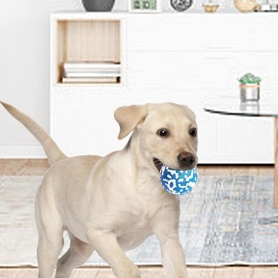 Balle pour chien - DogsPlayBall™ - Bleu - Le royaume du chien