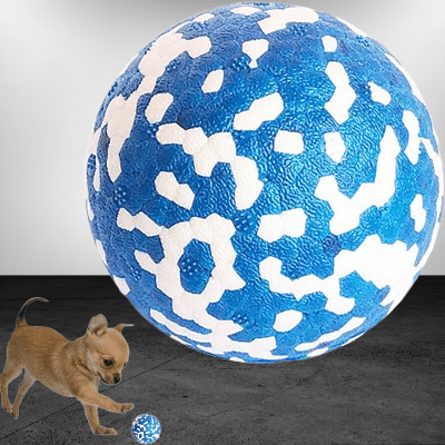 Balle pour chien - DogsPlayBall™ - Bleu - Le royaume du chien