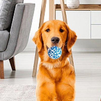 Balle pour chien - DogsPlayBall™ - Bleu - Le royaume du chien