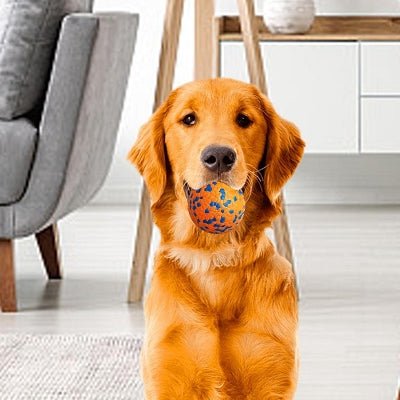 Balle pour chien - DogsPlayBall™ - Orange - Le royaume du chien