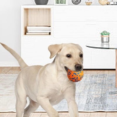 Balle pour chien - DogsPlayBall™ - Orange - Le royaume du chien