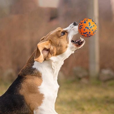 Balle pour chien - DogsPlayBall™ - Orange - Le royaume du chien