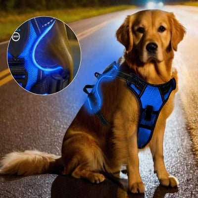 Harnais Chien - LEDDogHarnesses™ - Bleu - Le royaume du chien