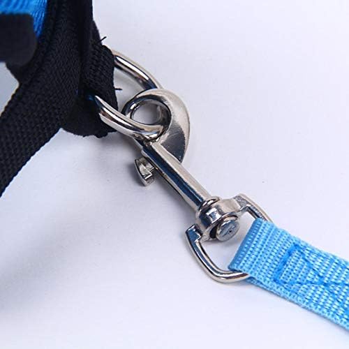 Harnais Petit Chien - DogHarnessLeadLeash™ - Bleu - Le royaume du chien