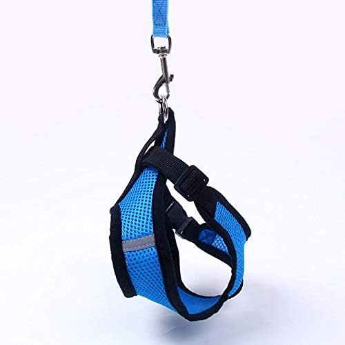 Harnais Petit Chien - DogHarnessLeadLeash™ - Bleu - Le royaume du chien