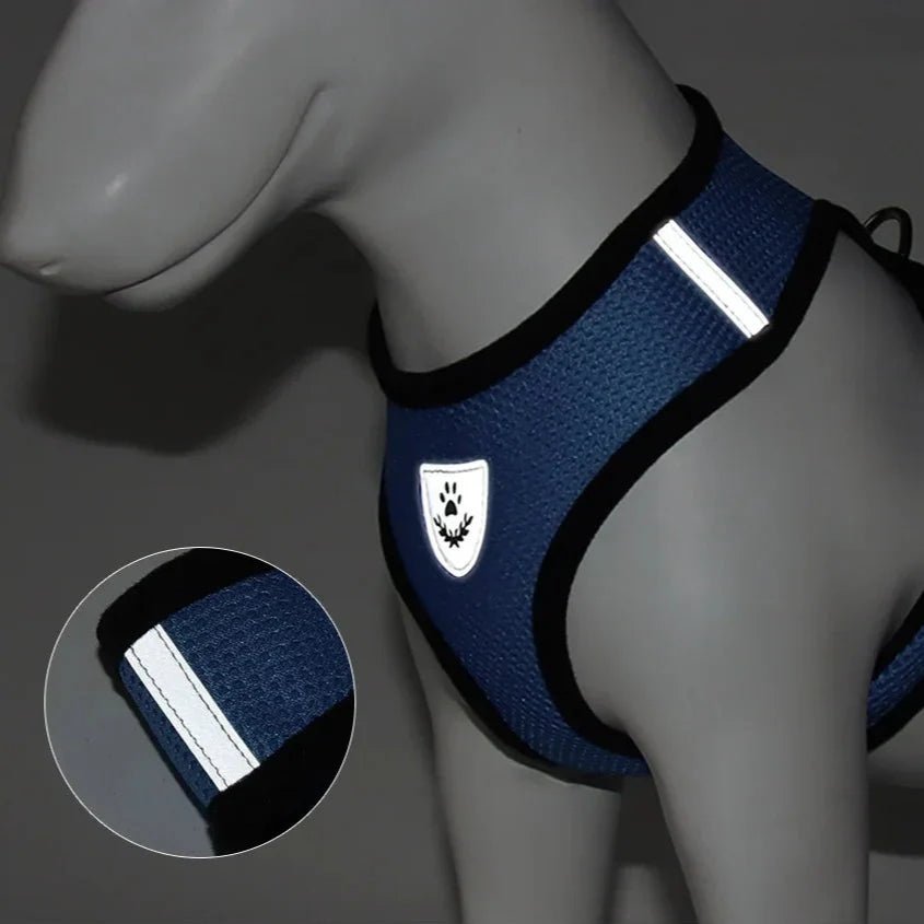 Harnais Petit Chien - DogHarnessLeadLeash™ - Bleu - Le royaume du chien