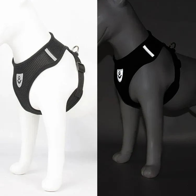 Harnais Petit Chien - DogHarnessLeadLeash™ - Noir - Le royaume du chien