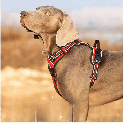 Harnais - PullFree™ - Rouge - Le royaume du chien