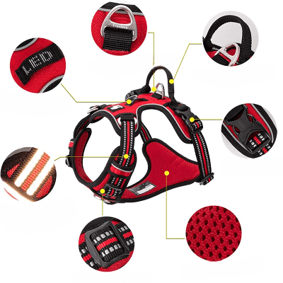 Harnais - PullFree™ - Rouge - Le royaume du chien
