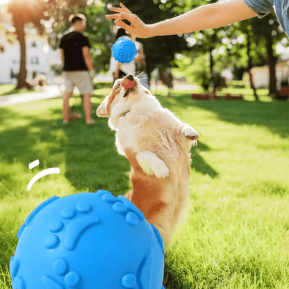 Balle pour Chien - DogChewToys™ - Bleu - Le royaume du chien