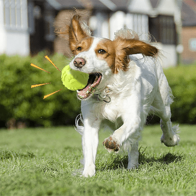Balle pour Chien - DogChewToys™ - Jaune - Le royaume du chien