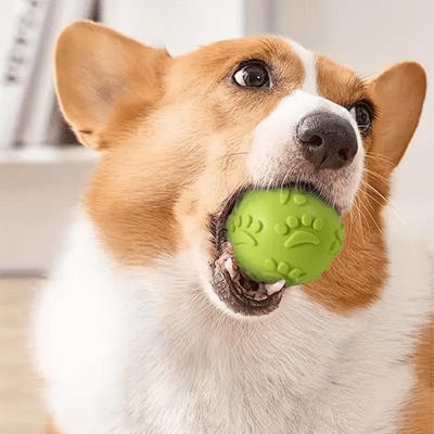 Balle pour Chien - DogChewToys™ - Jaune - Le royaume du chien