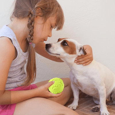 Balle pour Chien - DogChewToys™ - Jaune - Le royaume du chien