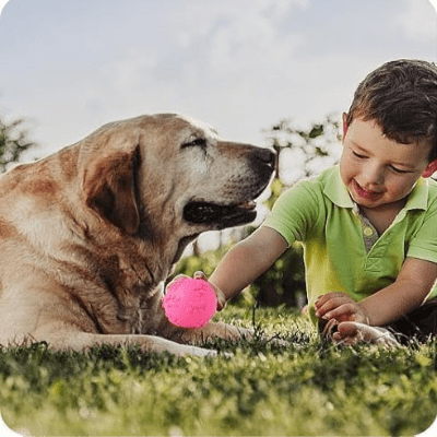Balle pour Chien - DogChewToys™ - Rose - Le royaume du chien