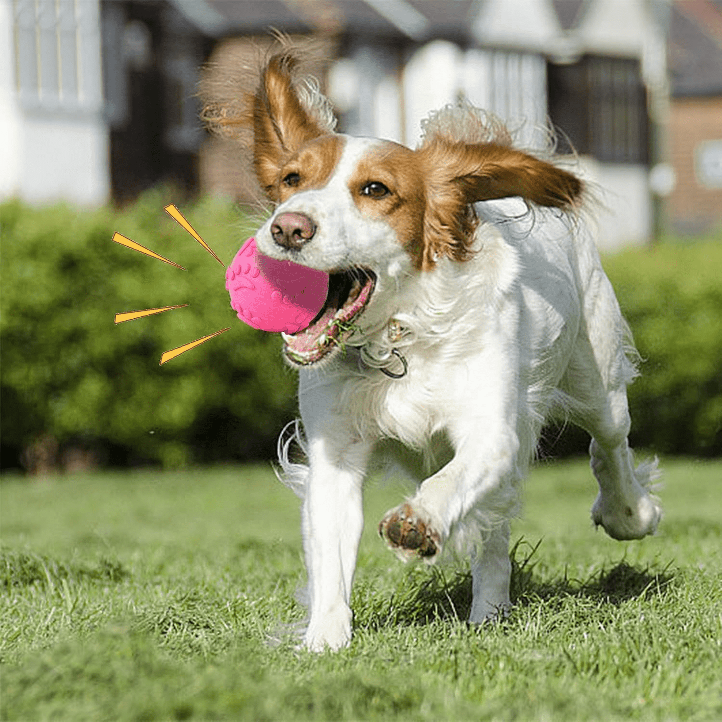 Balle pour Chien - DogChewToys™ - Rose - Le royaume du chien