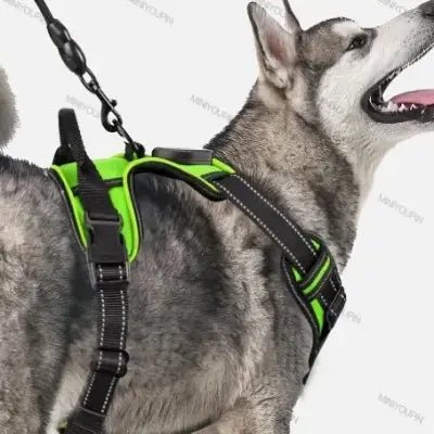 Harnais Chien - LEDDogHarnesses™ - Vert - Le royaume du chien