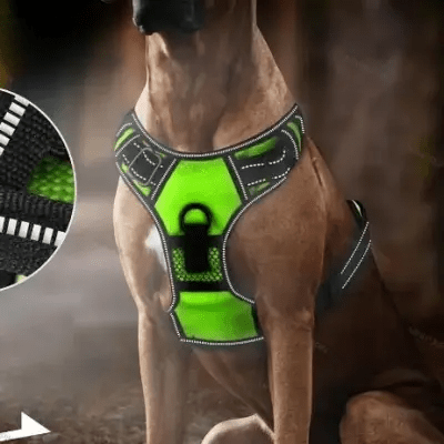 Harnais Chien - LEDDogHarnesses™ - Vert - Le royaume du chien
