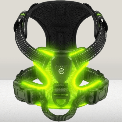Harnais Chien - LEDDogHarnesses™ - Vert - Le royaume du chien