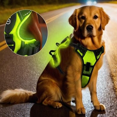 Harnais Chien - LEDDogHarnesses™ - Vert - Le royaume du chien