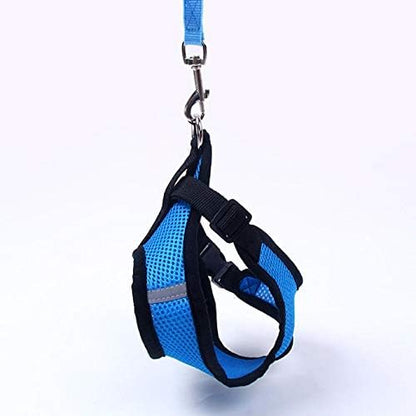 Harnais Petit Chien - DogHarnessLeadLeash™ - Bleu - Le royaume du chien