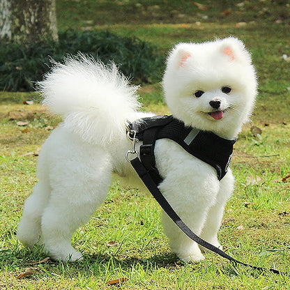 Harnais Petit Chien - DogHarnessLeadLeash™ - Noir - Le royaume du chien