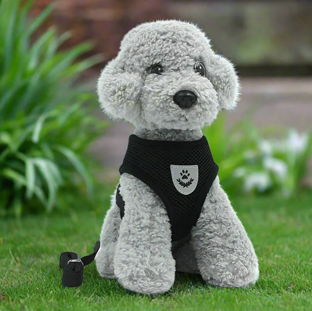 Harnais Petit Chien - DogHarnessLeadLeash™ - Noir - Le royaume du chien