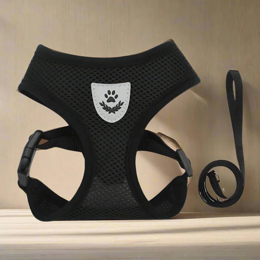 Harnais Petit Chien - DogHarnessLeadLeash™ - Noir - Le royaume du chien