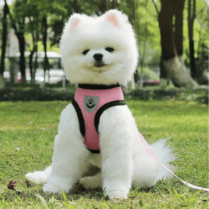 Harnais Petit Chien - DogHarnessLeadLeash™ - Rose - Le royaume du chien