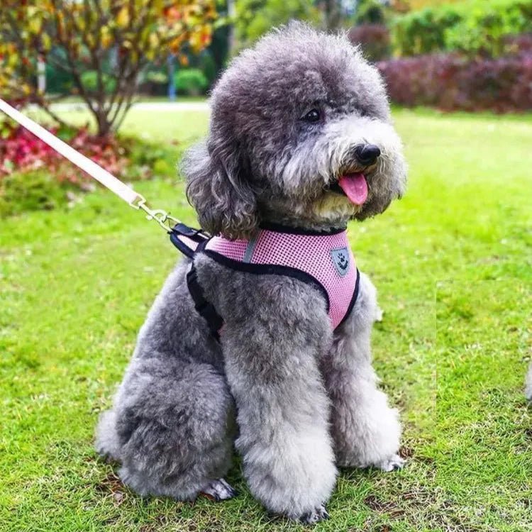 Harnais Petit Chien - DogHarnessLeadLeash™ - Rose - Le royaume du chien