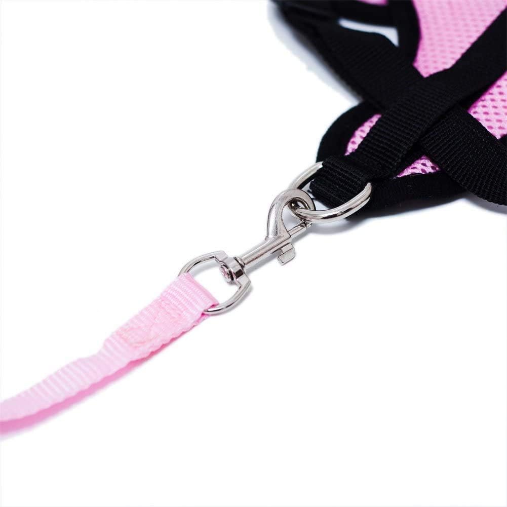Harnais Petit Chien - DogHarnessLeadLeash™ - Rose - Le royaume du chien