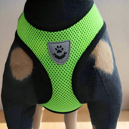 Harnais Petit Chien - DogHarnessLeadLeash™ - Vert - Le royaume du chien