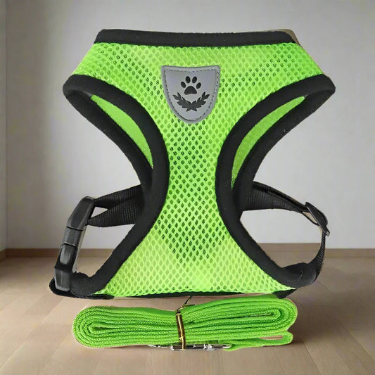 Harnais Petit Chien - DogHarnessLeadLeash™ - Vert - Le royaume du chien