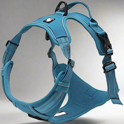Harnais - PullFree™ - Bleu - Le royaume du chien