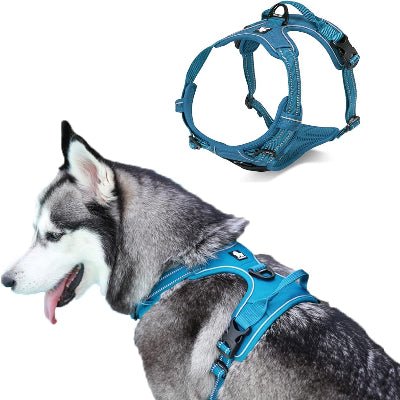 Harnais - PullFree™ - Bleu - Le royaume du chien