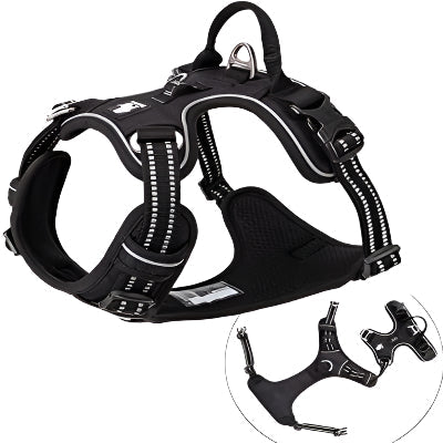 Harnais - PullFree™ - Noir - Le royaume du chien