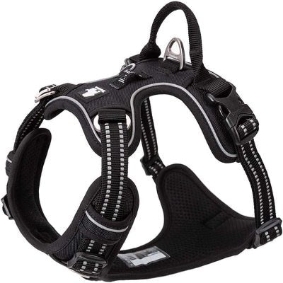Harnais - PullFree™ - Noir - Le royaume du chien