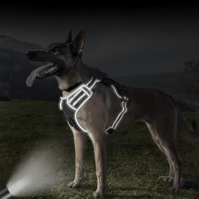 Harnais - PullFree™ - Noir - Le royaume du chien