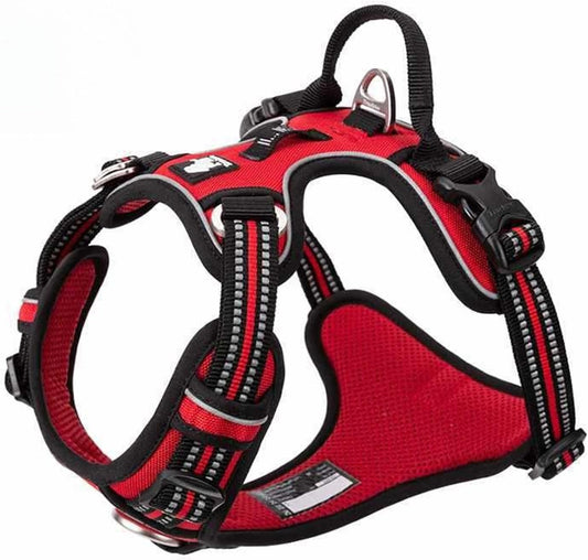 Harnais - PullFree™ - Rouge - Le royaume du chien